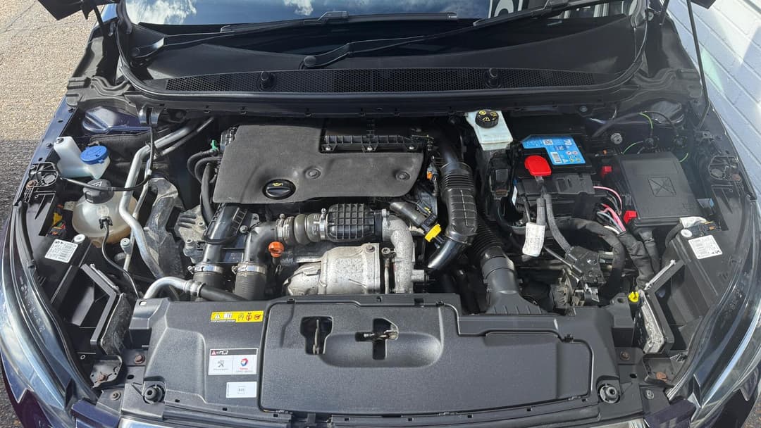 Car Image 13